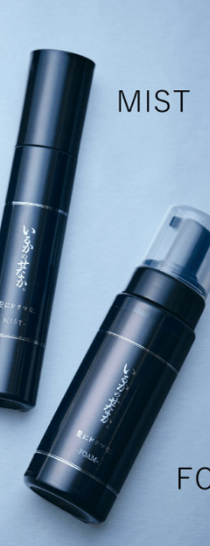 いるかのせなか